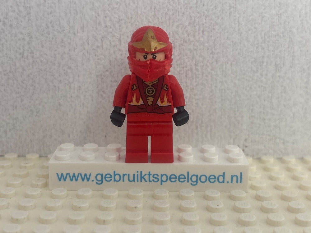 Minifig njo0205