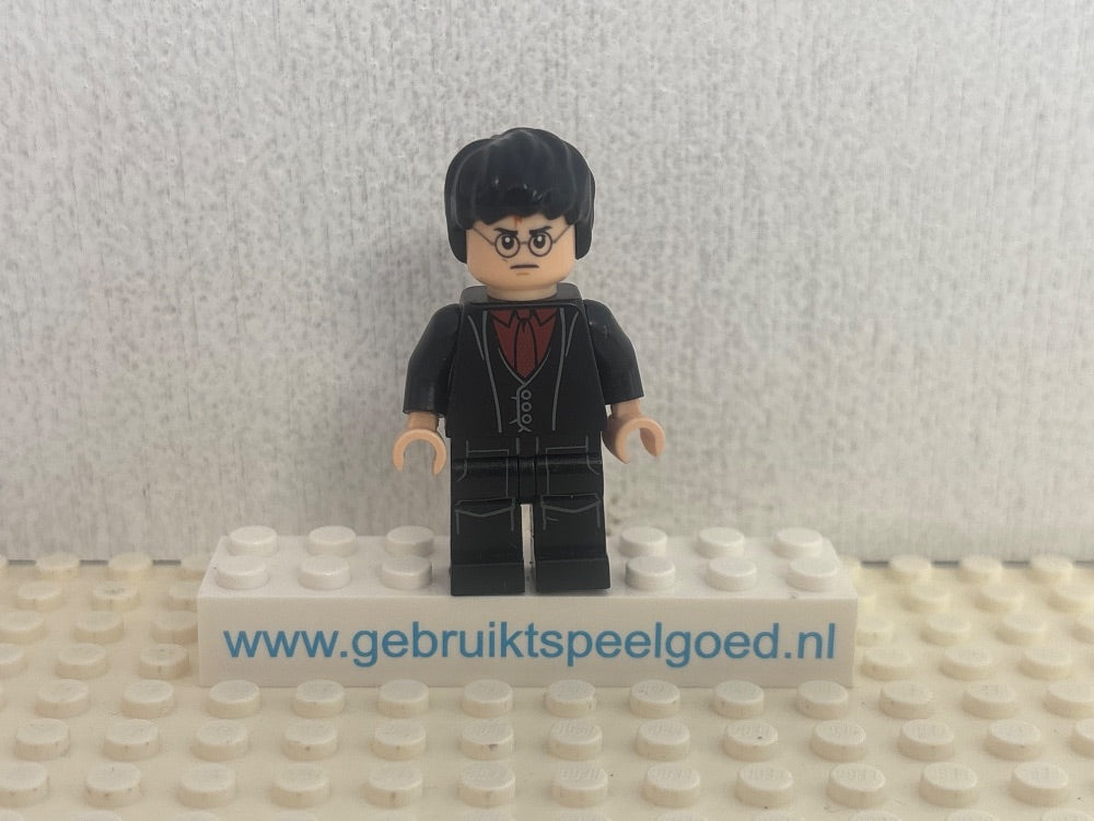 Minifig hp133