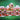 Set 4002023-1
