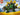 Set 4998-1