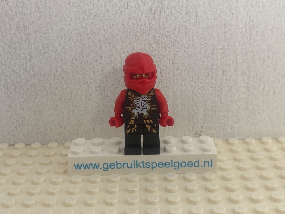 Minifig njo0161