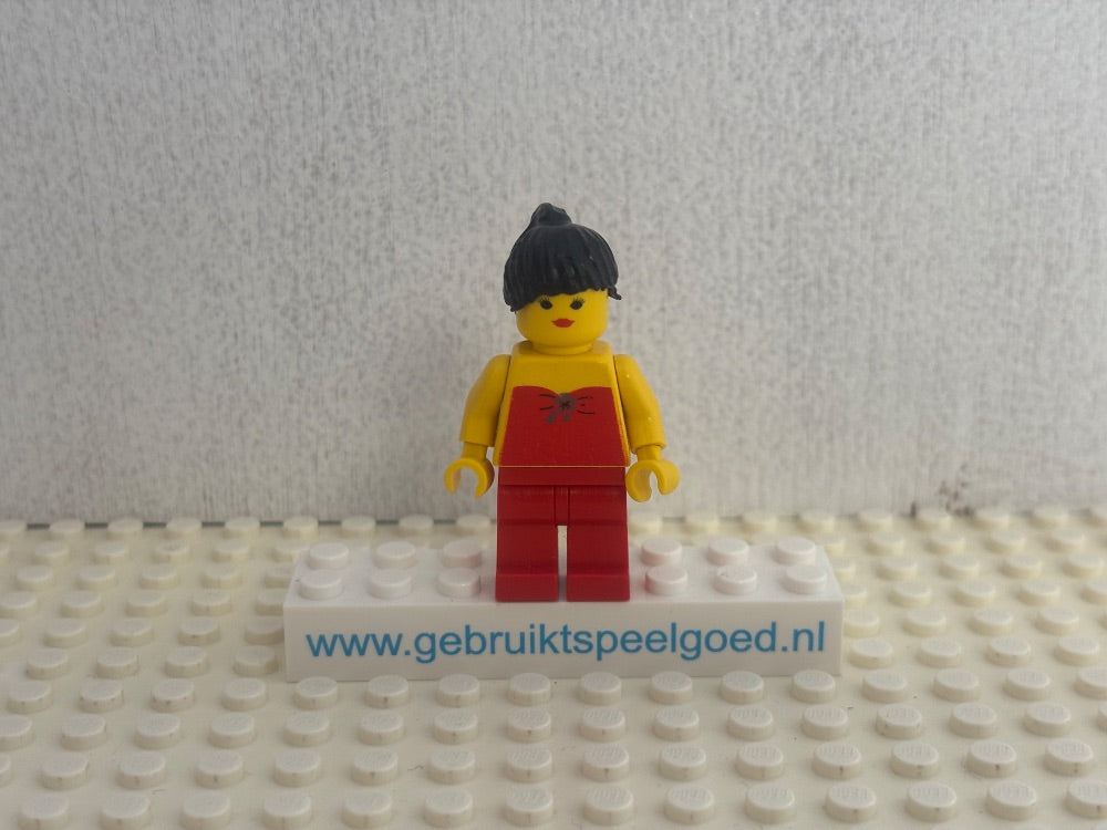 Minifig fbr001