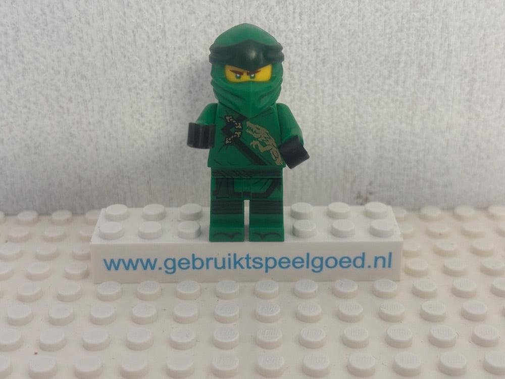 Minifig njo0490