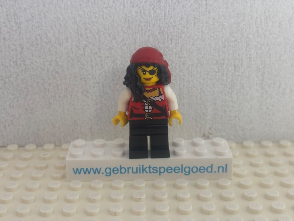 Minifig pi165