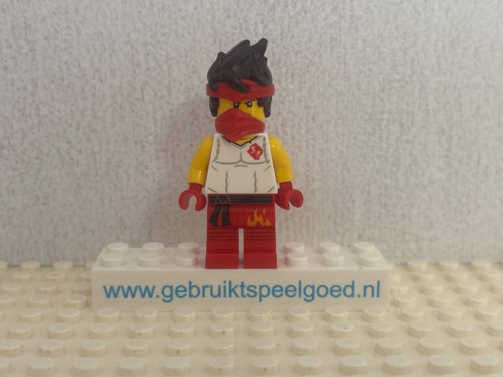 Minifig njo0643